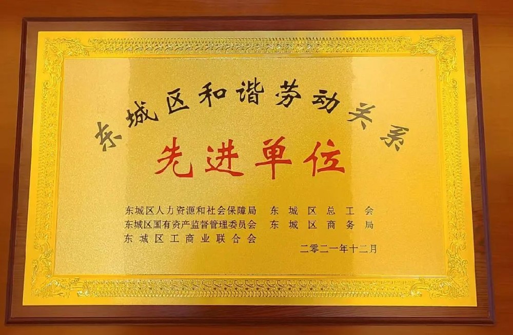 大龍集團榮獲“東城區(qū)和諧勞動關(guān)系先進單位”光榮稱號